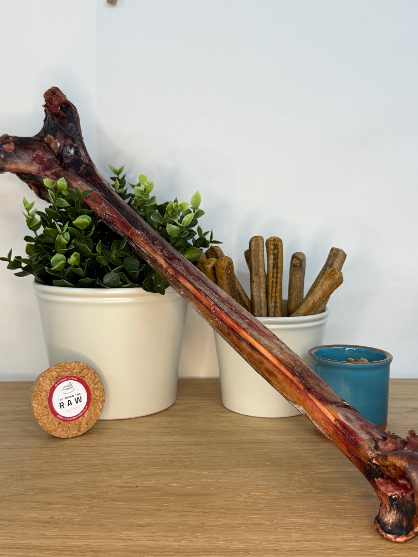 Ostrich Caveman Bone
