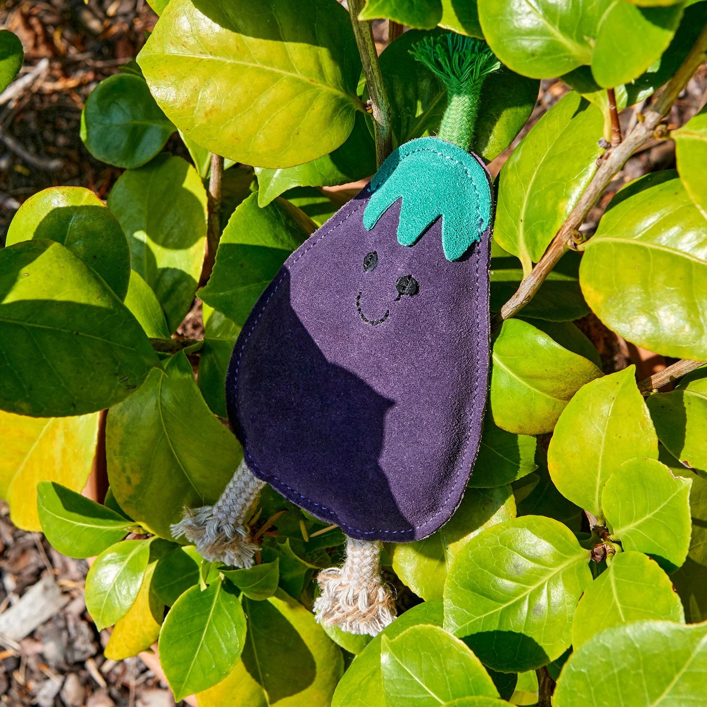Austin the Aubergine - Green & Wilds Eco Dog Toy