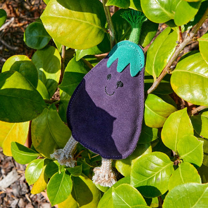 Austin the Aubergine - Green & Wilds Eco Dog Toy