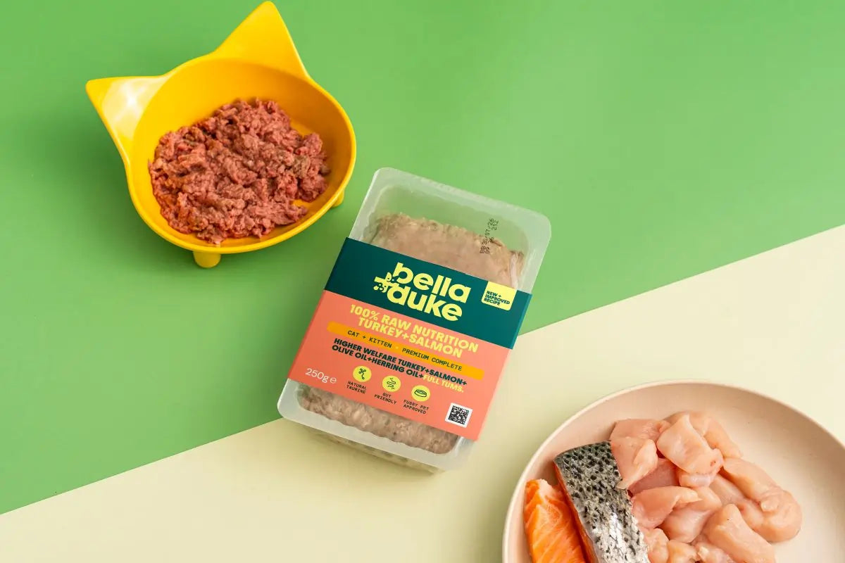 Bella & Duke - Cat & Kitten Complete Turkey & Salmon 250g