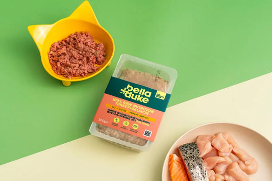 Bella & Duke - Cat & Kitten Complete Turkey & Salmon 250g