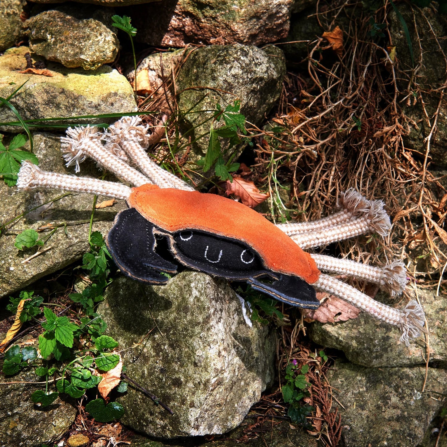 Carlos the Crab - Green & Wilds Eco Dog Toy