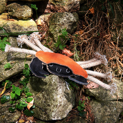 Carlos the Crab - Green & Wilds Eco Dog Toy