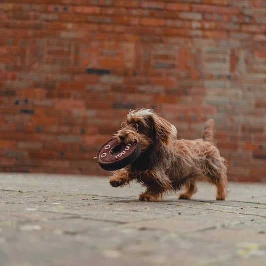 Derrick The Donut - Green & Wilds Eco Dog Toy