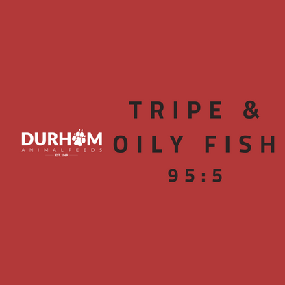 DAF - Tripe & Oily Fish 454g
