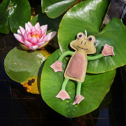 Francois Le Frog - Green & Wilds Eco Dog Toy