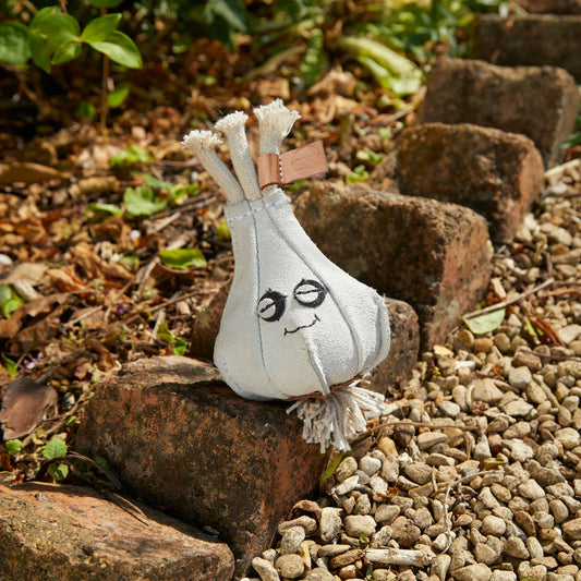 Gary the Garlic - Green & Wilds Eco Dog Toy