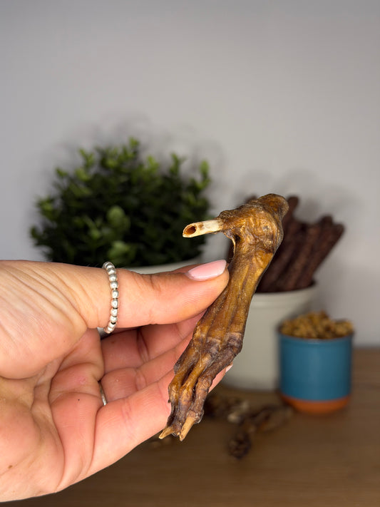 Rabbit Feet