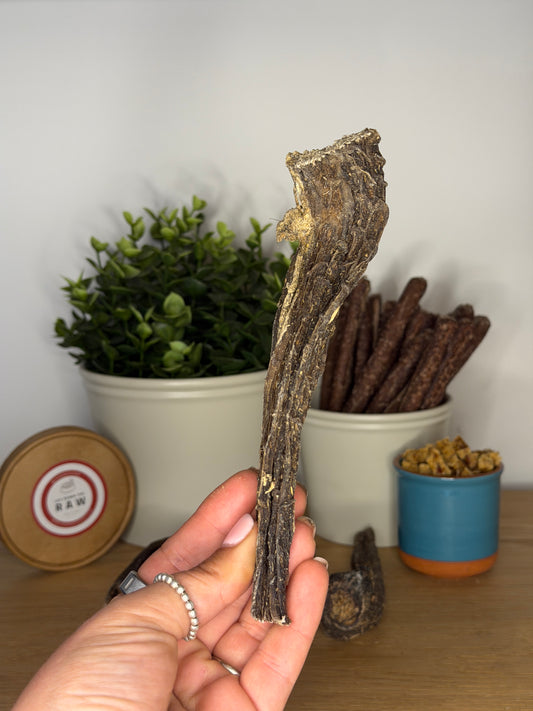 Beef Tripe Chew