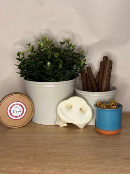 Puffed White Pig Snout