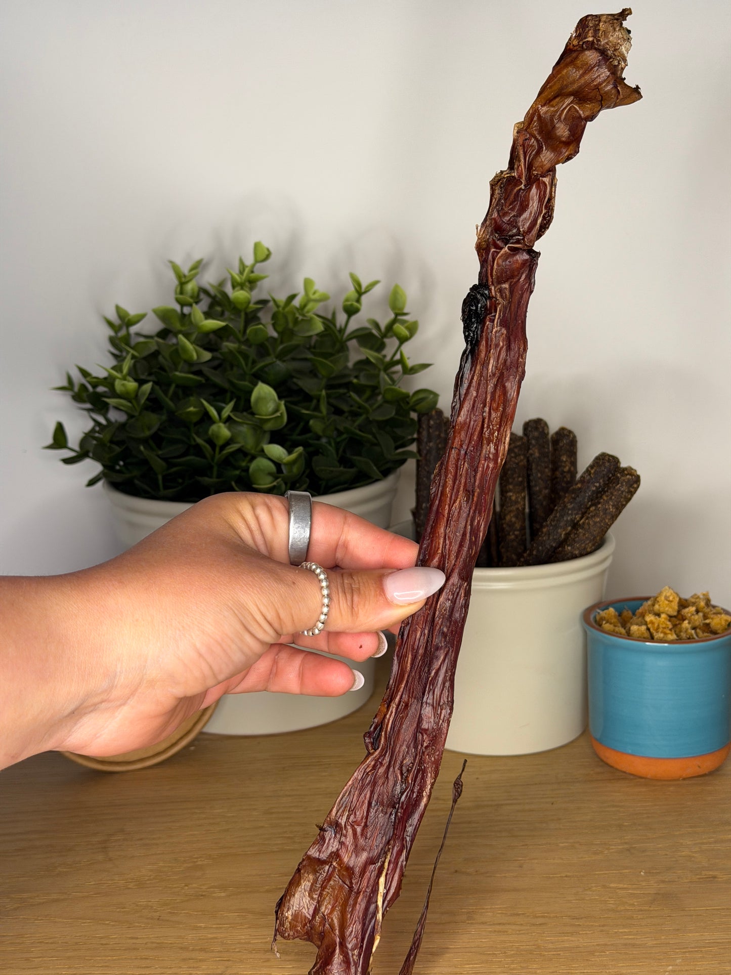 Ostrich Oesophagus