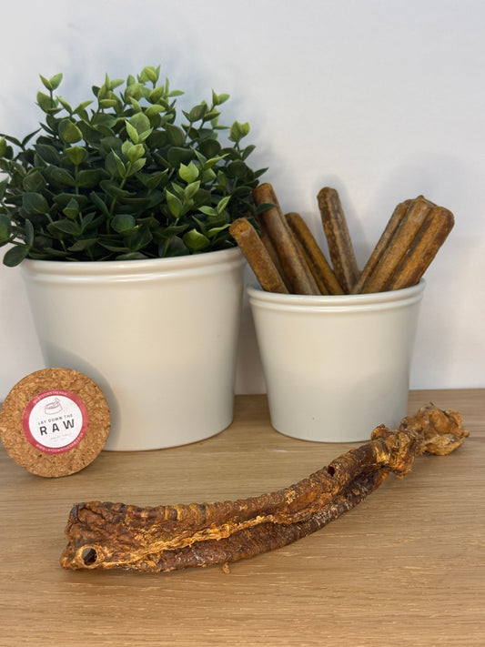 Lamb Trachea