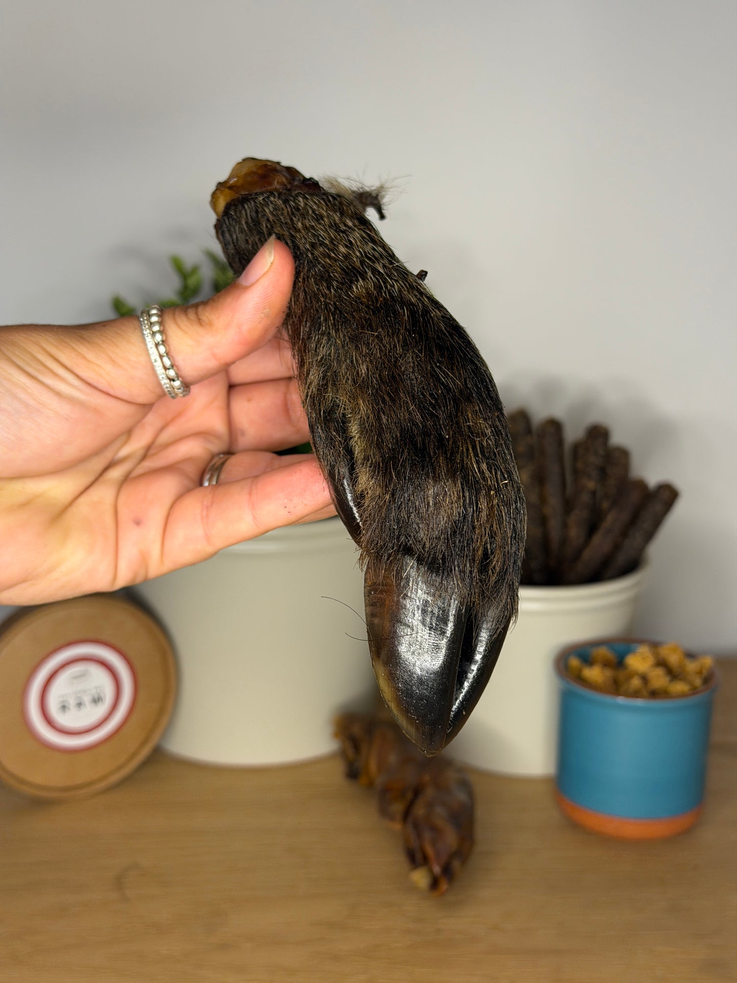 Wild Boar Trotters