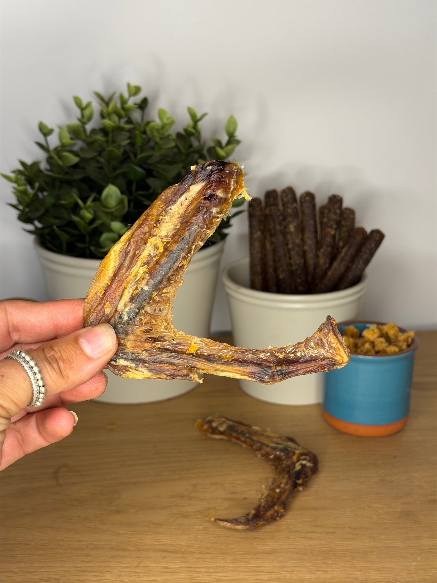 Duck Wings