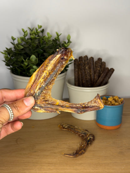 Duck Wings