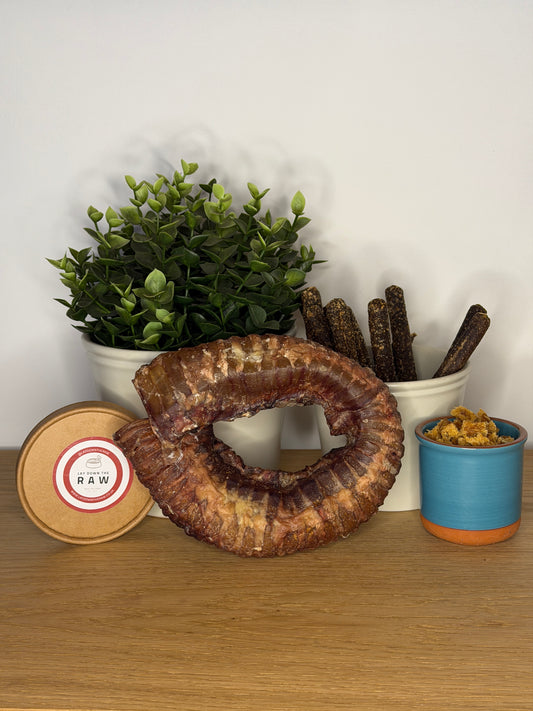 Trachea Ring