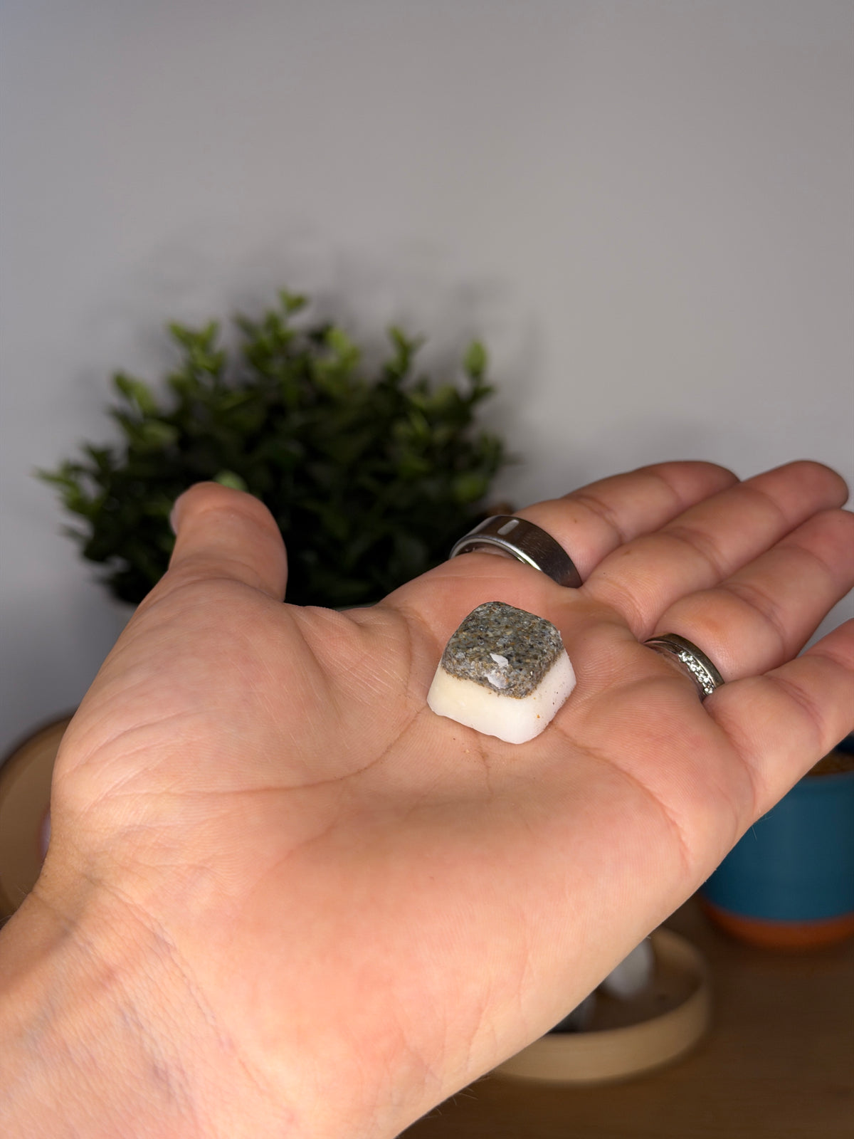 Sheep Fat Cubes with Seaweed