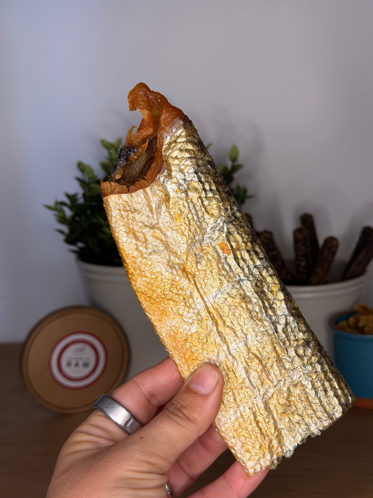 Salmon Skin Snackies