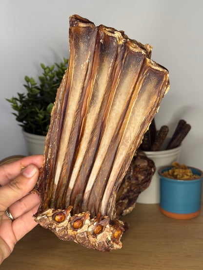 Air Dried Veal 1/4 Rack of Ribs