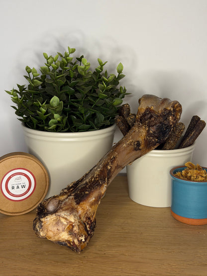 Air-Dried Smoked Giant Venison Bones