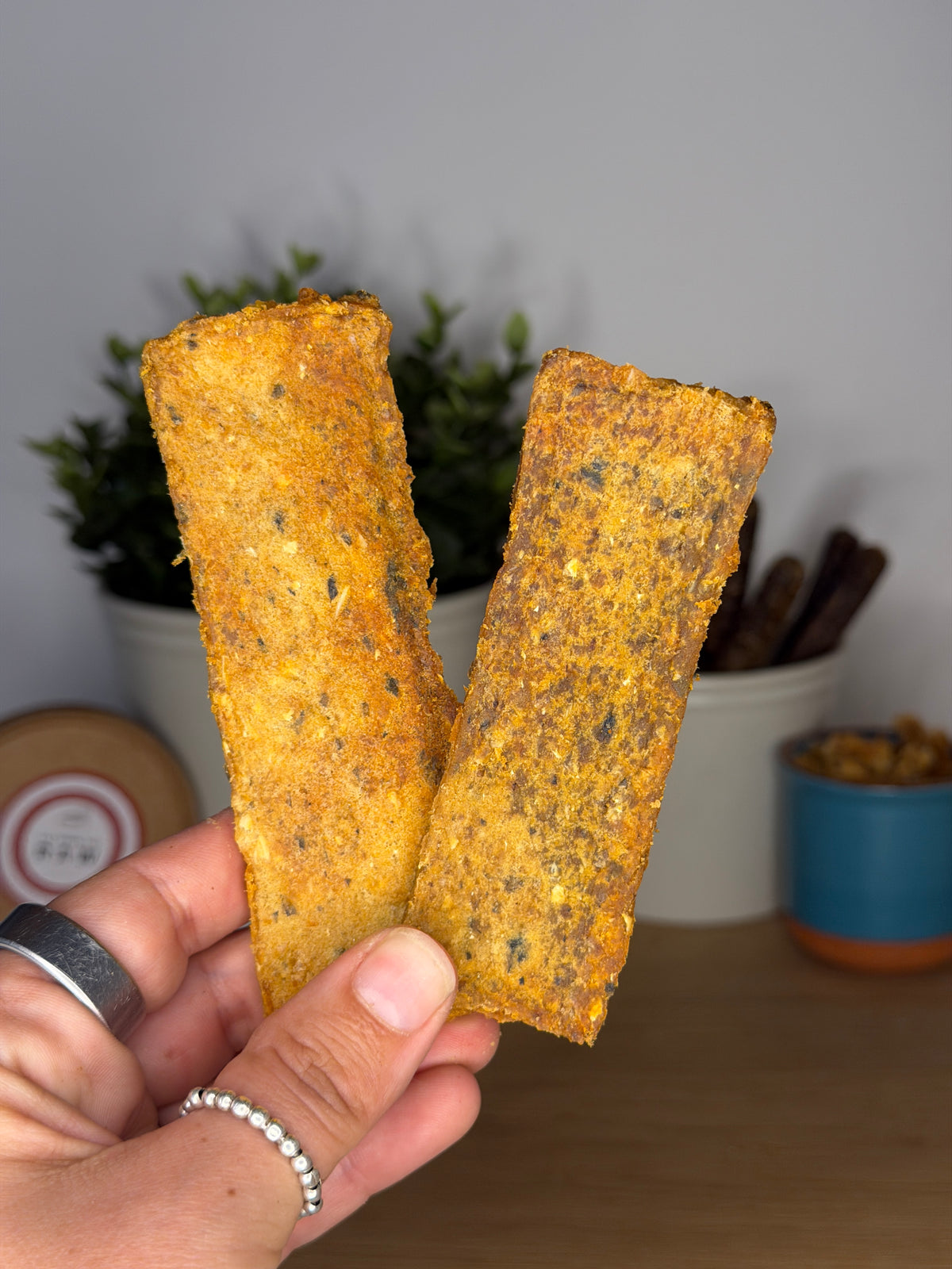Salmon Strips