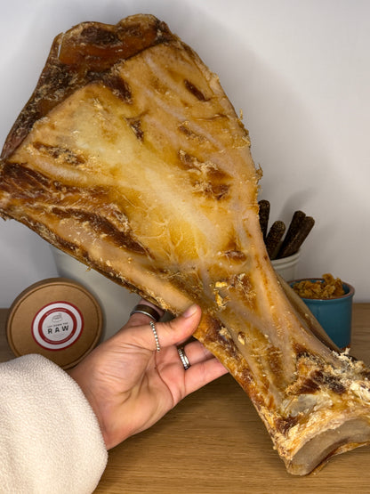Beef Giant Shoulder Bone with Moon Bone