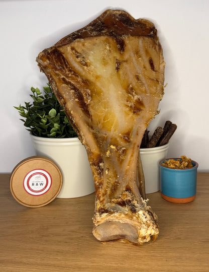 Beef Giant Shoulder Bone with Moon Bone