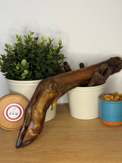 XL Venison Leg