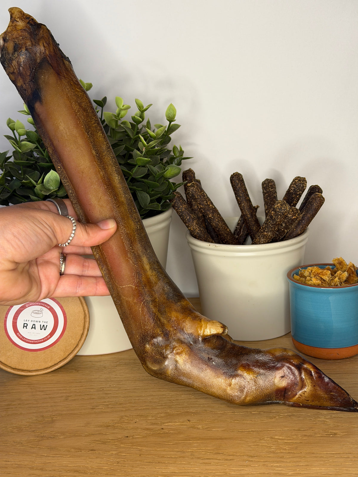 XL Venison Leg