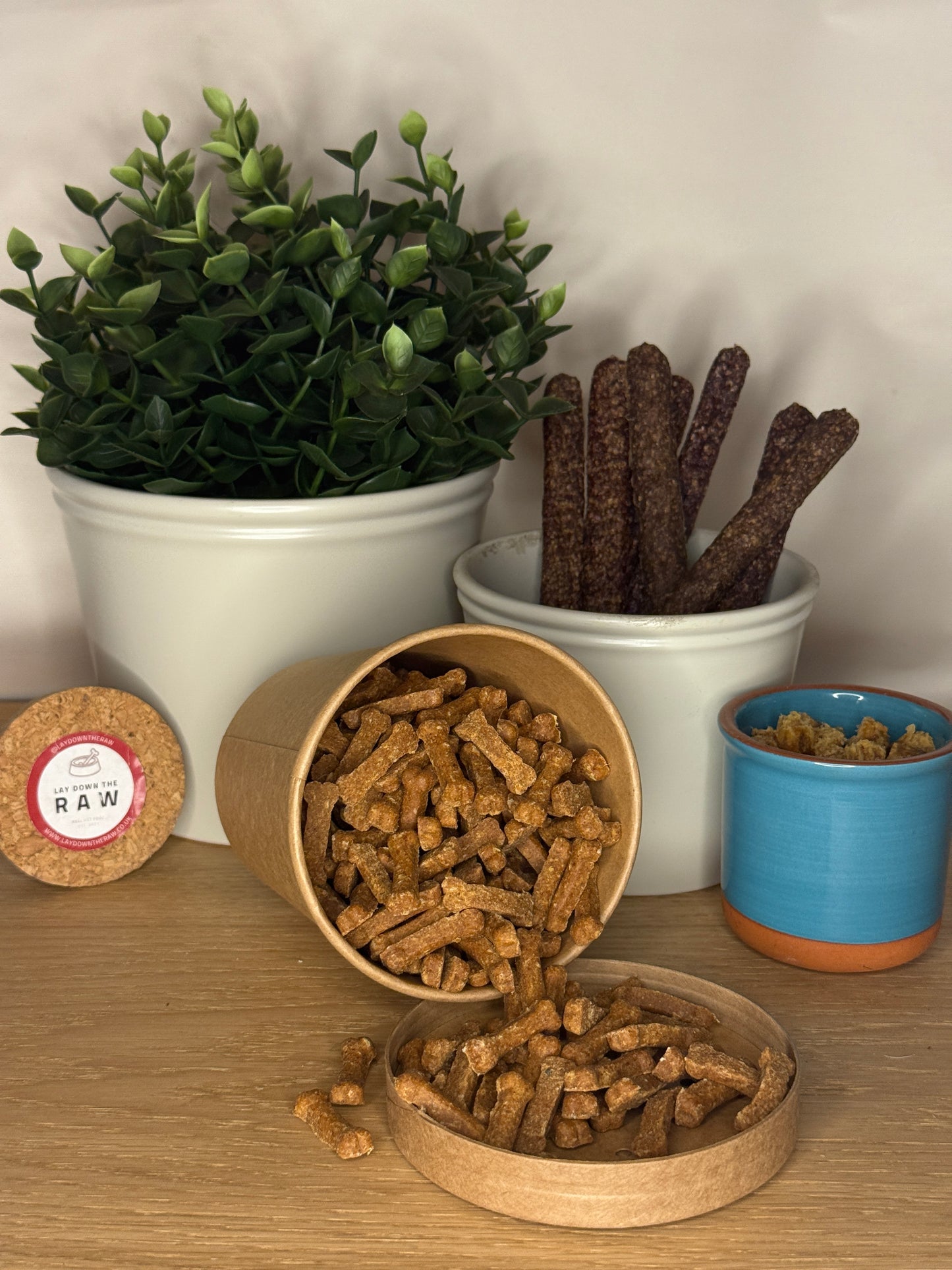 Salmon Mini Training Bones