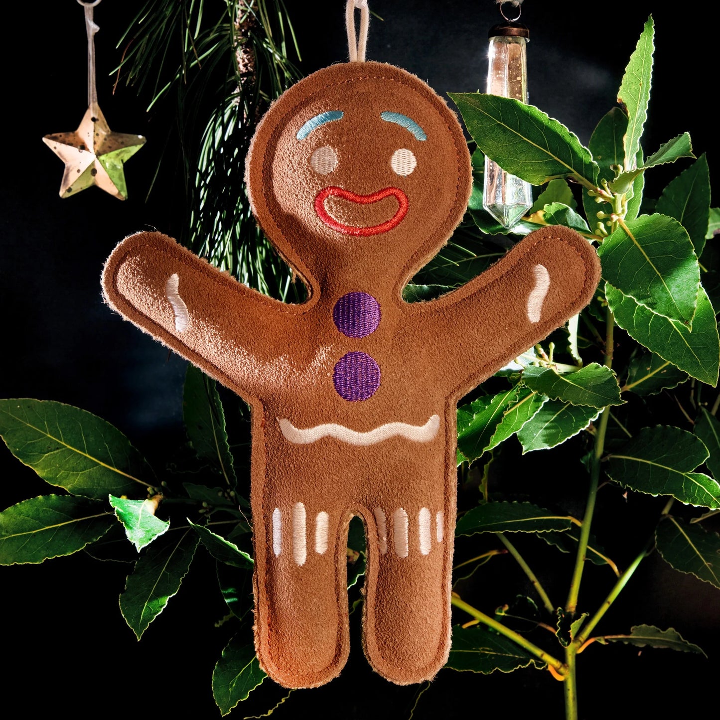 Jean Genie the Gingerbread Person - Green & Wilds Eco Dog Toy