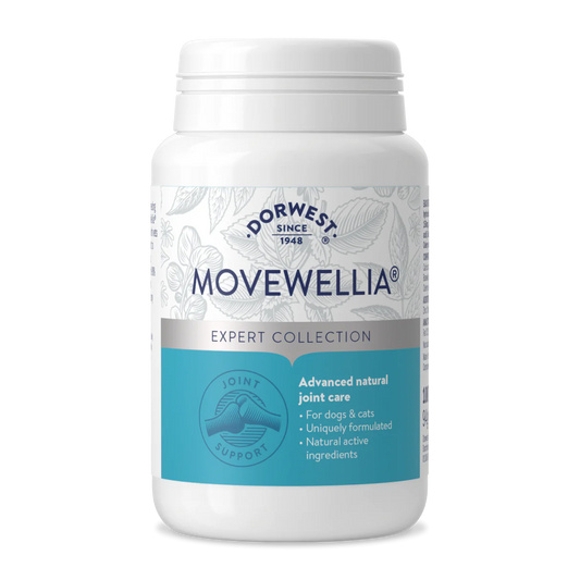 Dorwest - Movewellia®