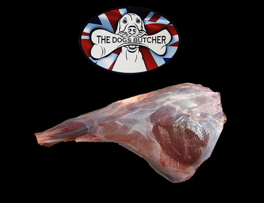 The Dog's Butcher - Muntjac Deer Meaty Hind Leg