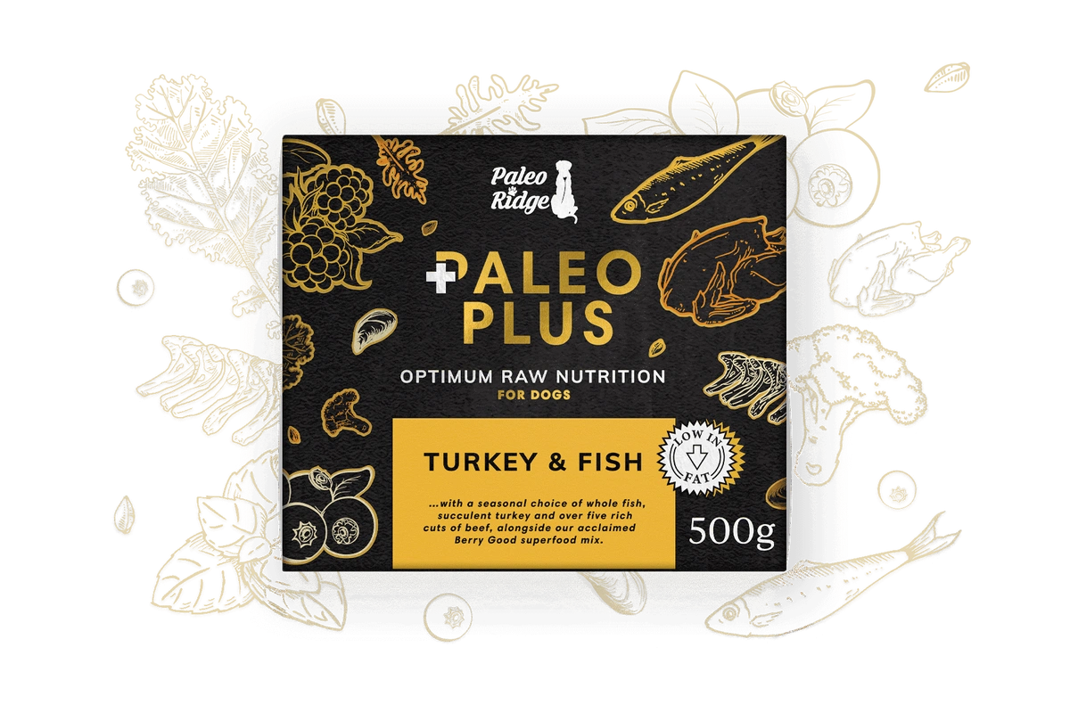Paleo Ridge - Paleo Plus Turkey & Fish Mince 500g – Lay Down The Raw