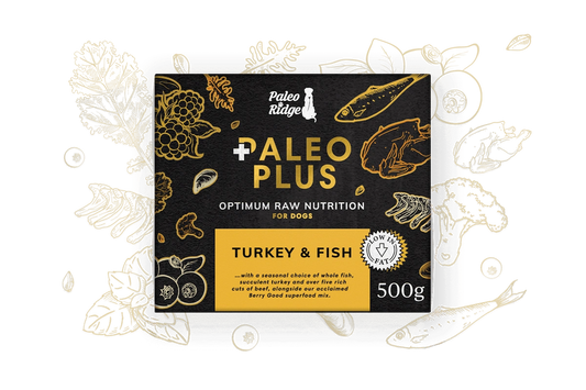 Paleo Ridge - Paleo Plus Turkey & Fish 500g