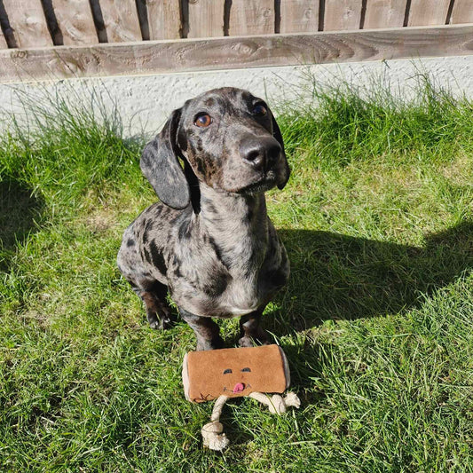 Pam au Chocolat - Green & Wilds Eco Dog Toy