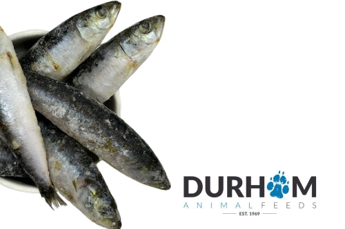 Whole Sardines - 1kg 🐟