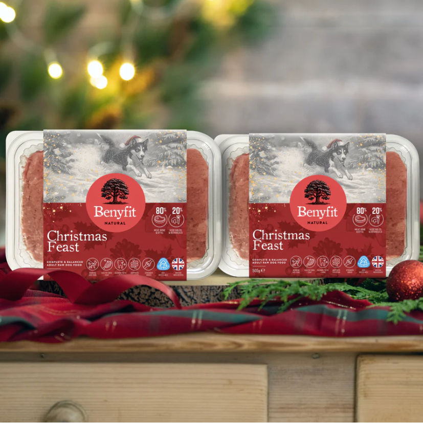 Benyfit Natural - Christmas Feast Complete Mince 500g