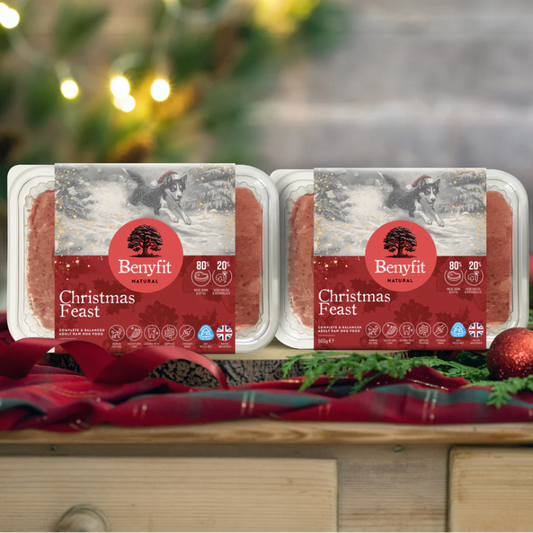 Benyfit Natural - Christmas Feast Complete Mince 500g