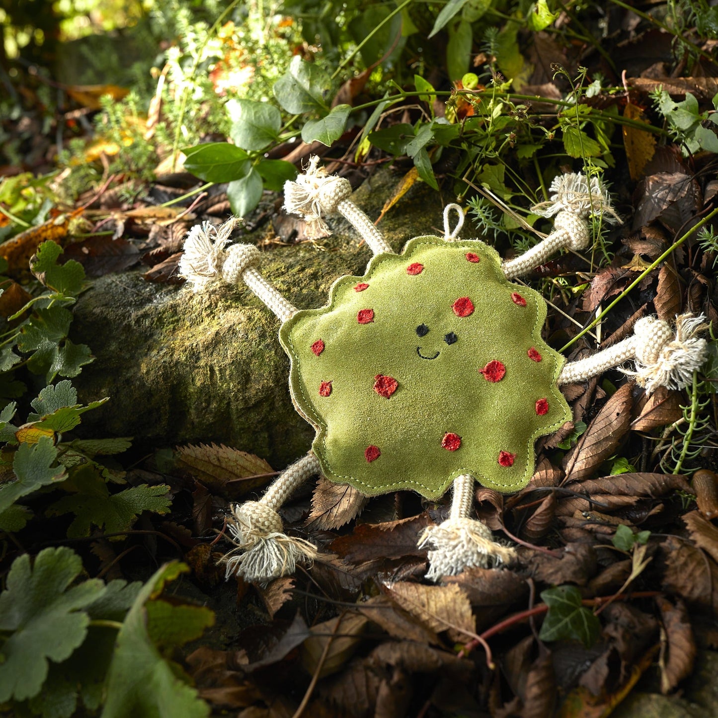 Splodge - Green & Wilds Eco Dog Toy