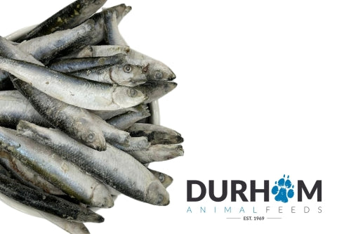 Whole Sprats - 1kg 🐟