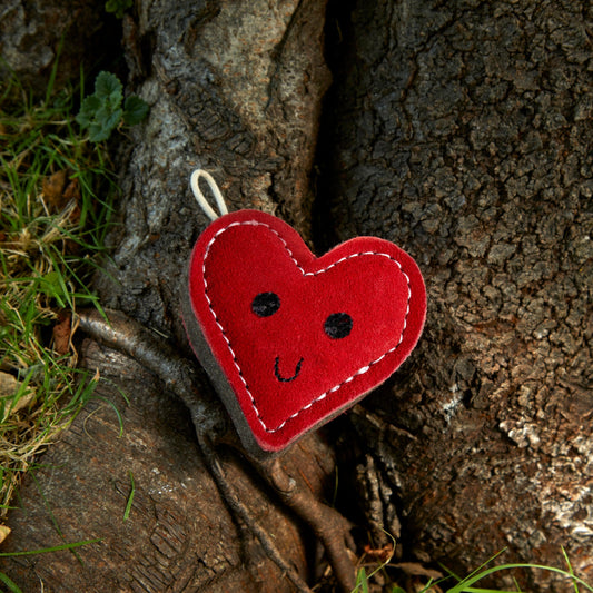 Trudy Truelove - Green & Wilds Eco Dog Toy