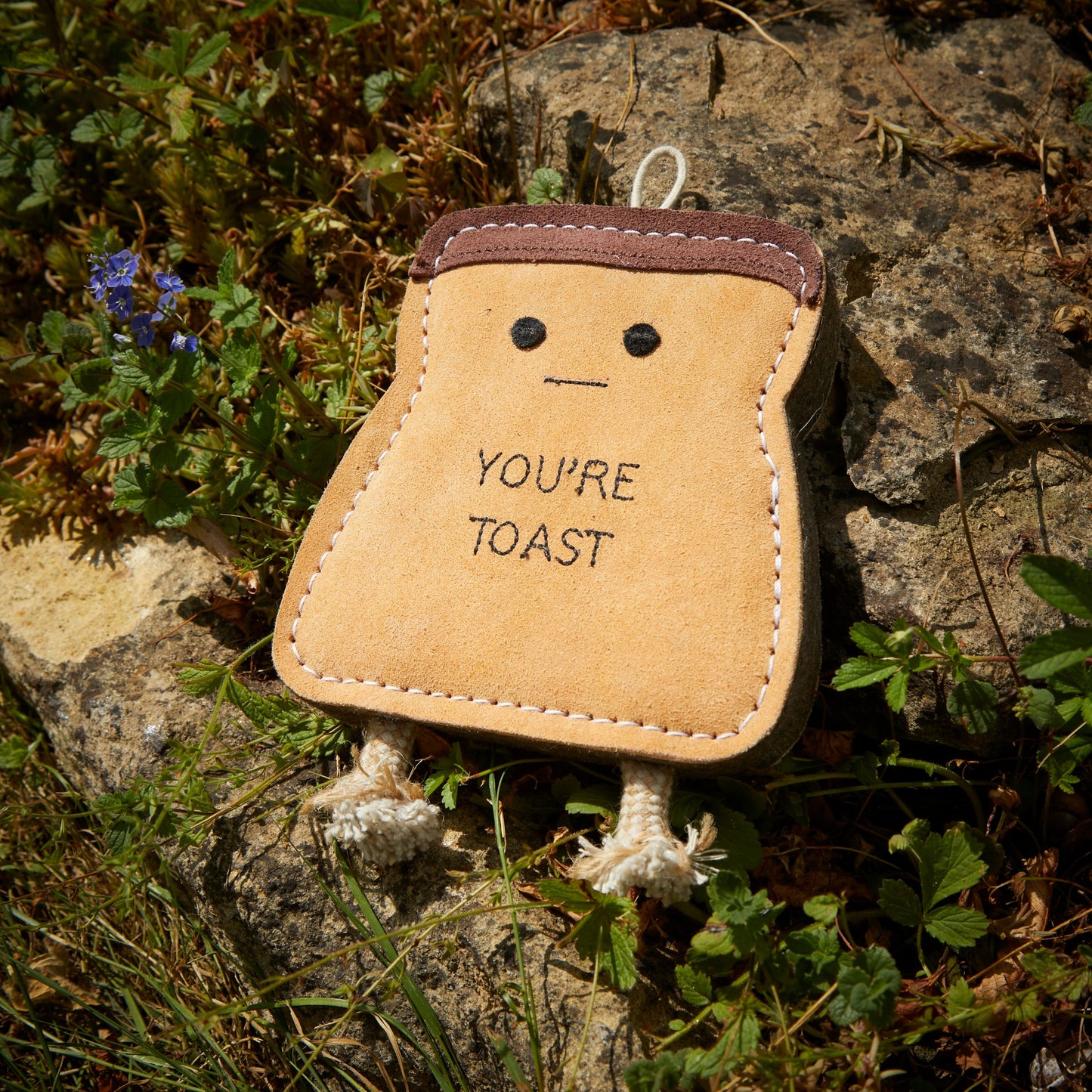 You're Toast - Green & Wilds Eco Dog Toy