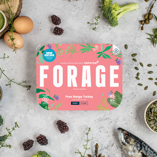 Naturaw - Free Range Turkey Puppy Forage Complete 500g