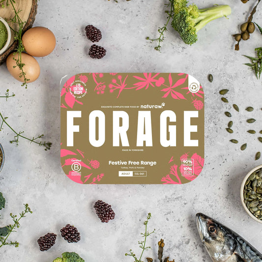 Naturaw Forage - Free Range Festive Christmas Complete Mince (Pork, Turkey & Parsley) 500g