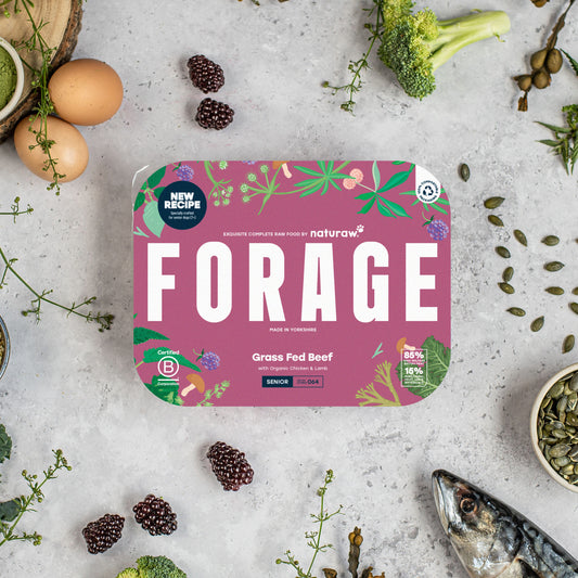 Naturaw - Grass Fed Beef Senior Forage Complete 500g