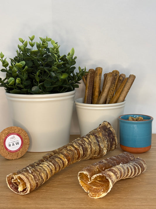 Trachea