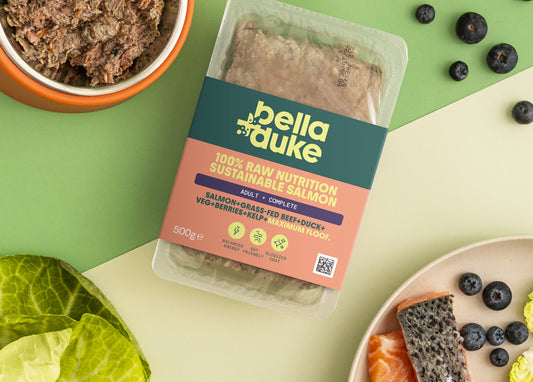 Bella & Duke - Complete Sustainable Salmon 500g