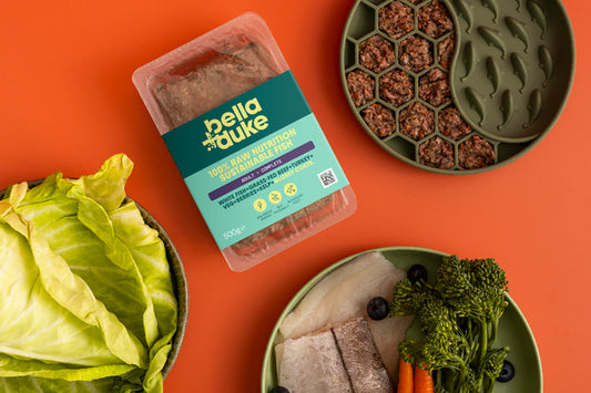 Bella & Duke - Complete Sustainable Fish 500g