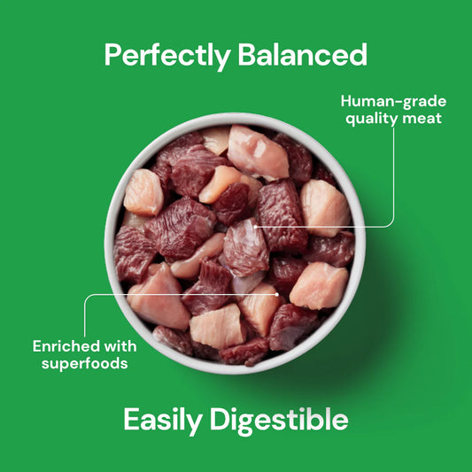 Nutriment - Complete Christmas Venison & Turkey Complete Mince for Cats 500g